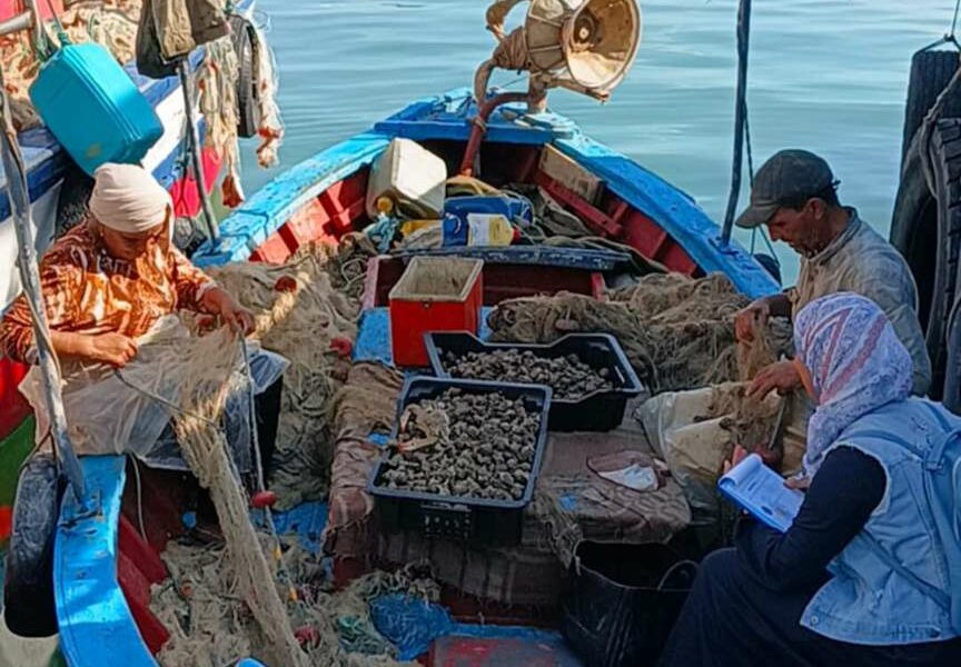 Fishing boats and stacked nets in a Mediterranean harbour