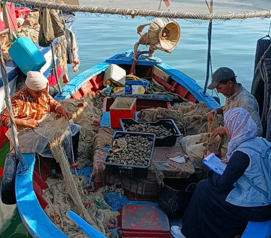 Fishing boats and stacked nets in a Mediterranean harbour
