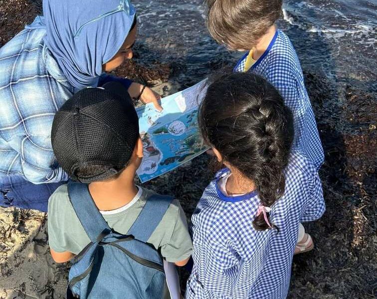 Children exploring the shoreline