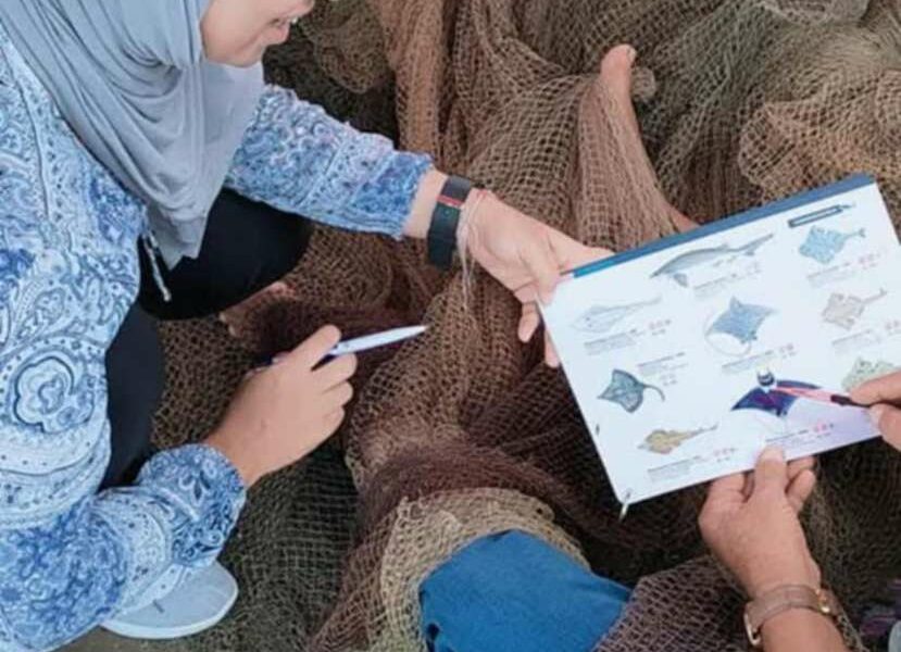Women sorting and mending fishing nets on the shore